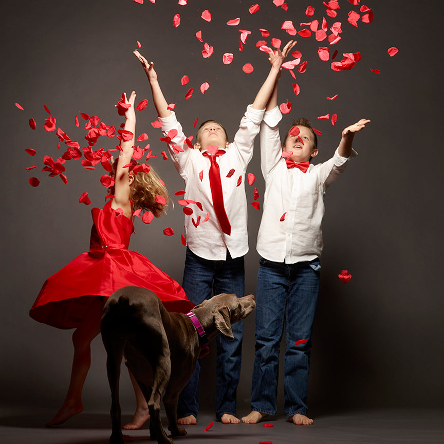 Together Forever Creative Package